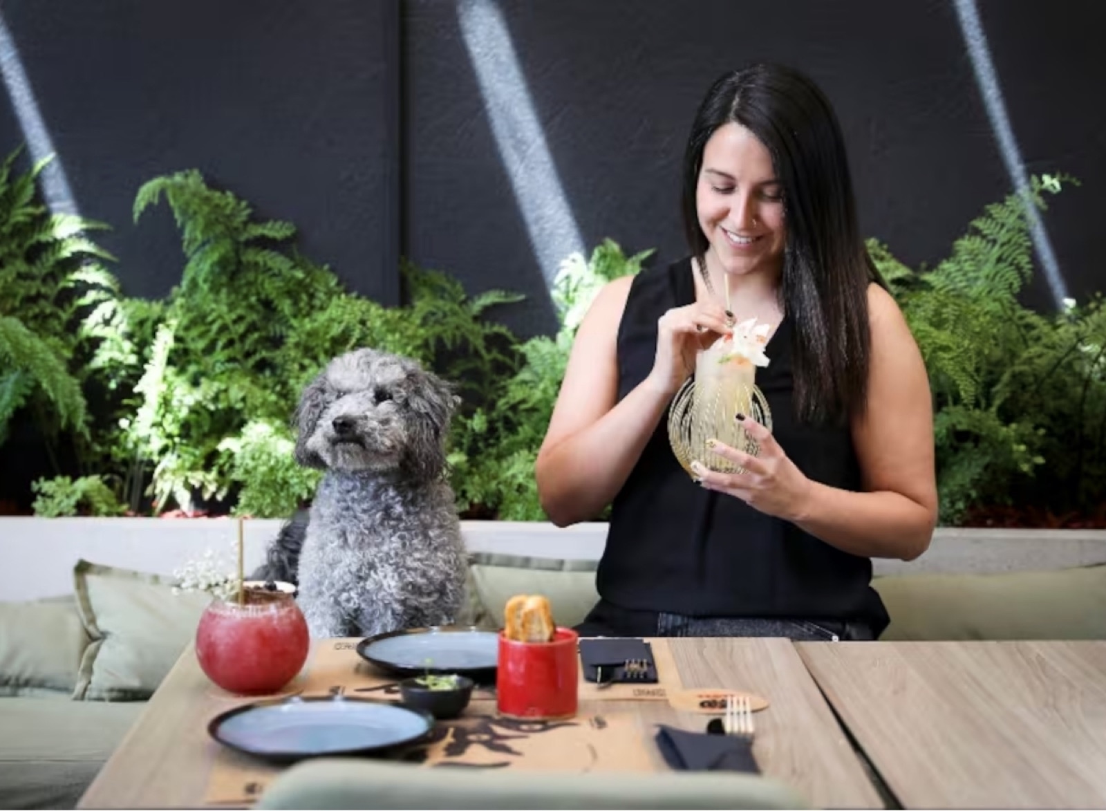 Restaurante Mallinkrodt, terraza pet-friendly
