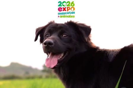 Expo Mascotas Concepción