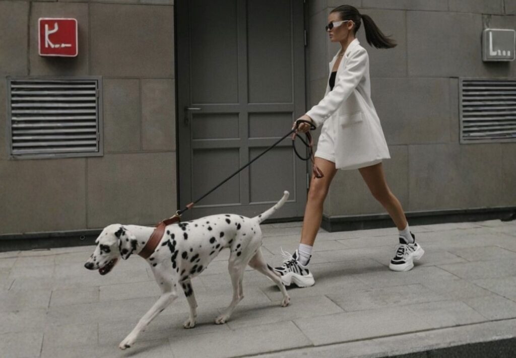 Pet Walk Parque Bicentenario